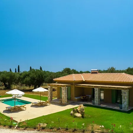 Terra Oleana * Vasilikí