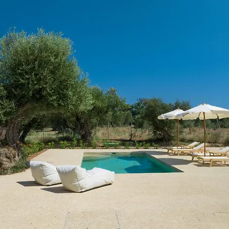 Terra Oleana Holiday home Vasilikos (Zakynthos)