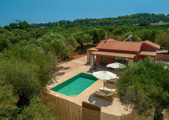 Terra Oleana Vasilikí